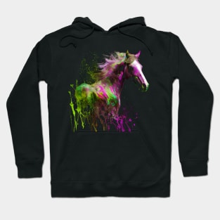 Beautiful Horse Lover Horseback Riding Colorful Hoodie